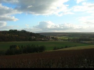essoyes clouds and vines