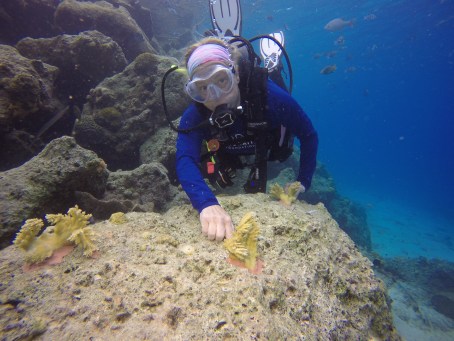 DCIM100GOPROGOPR0296.