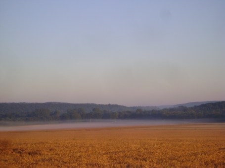 EssoyesJulyMistonFields