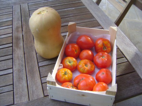 Tomatos&Squash.jpg