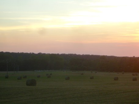 AugustHarvestedField