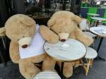 ParisCafeCuddlyBears