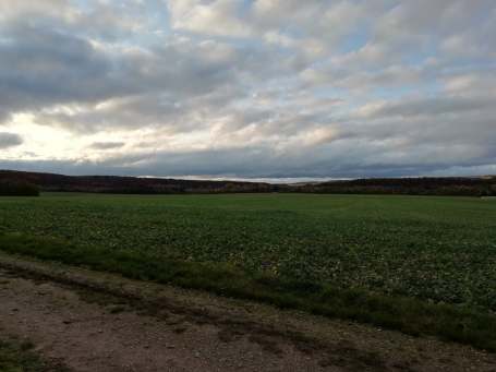 73324139_463395350962474_8400414989650755584_n